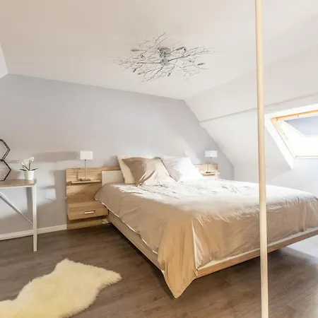 Spacieux Chic - Confort - Proche Parcs & Thermes Vichy Exterior foto